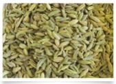 Fennel Seeds