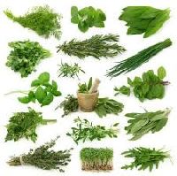 Natural Herbs