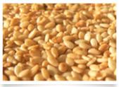 Natural Sesame Seeds