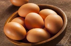 Brown Egg