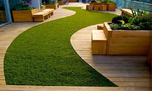 Artificial Grass