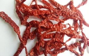 Indian Red Chilli