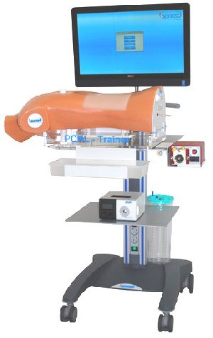 PCNL Trainer System