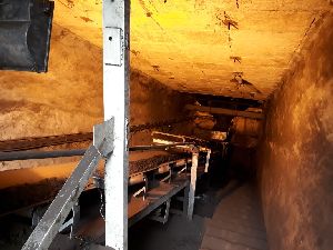 Coal Handling Conveyor System
