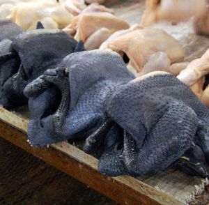 Black Chicken Meat