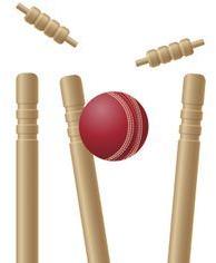 Cricket Stumps with Bails