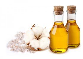 Cotton Oil