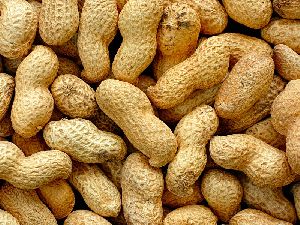 Shelled Groundnuts