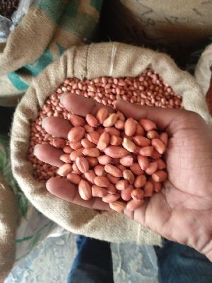 Groundnut Kernels