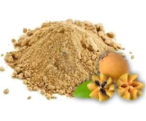 Spray Dried Fruit Powder