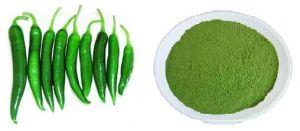 Spray Dried Green Chili Powder