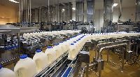 automatic milk collection system