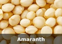 Organic Amaranth