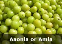 Organic Amla