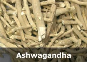 Organic Ashwagandha