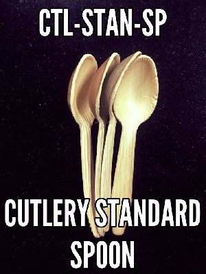 Cutlery Standard Spoon