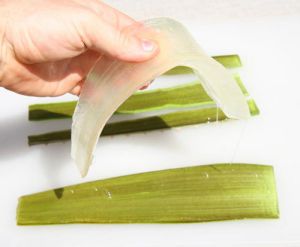 Aloe Vera Pulp