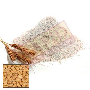 Wheat Flour