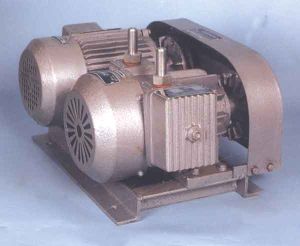 rotary vacuum pumps