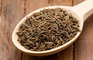 Ajwain Seeds New Range For 2018