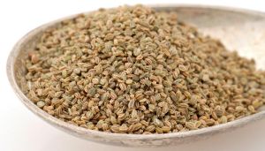 Best Quality Celery seed