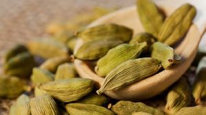 Best Quality Green Cardamom