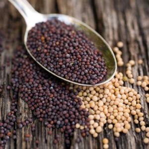 Best Quality Mustard Seeds