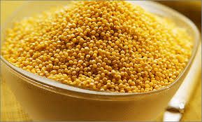 Best Quality White Sorghum