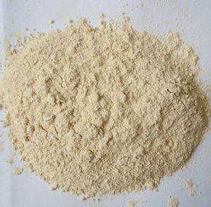 Dehydrated Garlic Powder