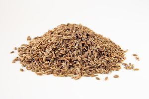 Dill Seeds