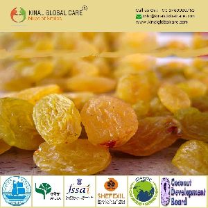 Indian Golden Raisins