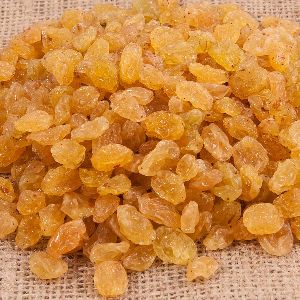 Indian Golden Raisins