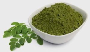 Moringa Powder