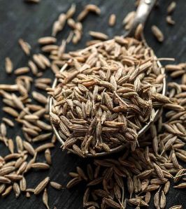 Pristine Cumin Seeds