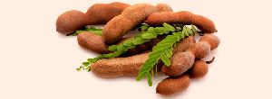 tamarind with seeds