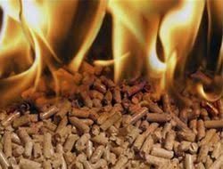 Biomass Pellet