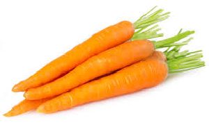 Fresh Yellow Carrot