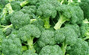 Fresh Broccoli