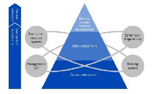 Building Information Modelling (BIM) Implementation Services