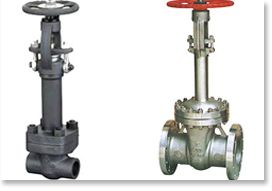 Cryogenic Gate Valve