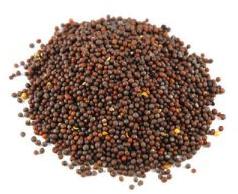 Black Mustard Seeds