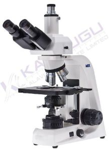 Trinocular Microscope