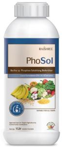 Phosphate Solubilizing Bacteria Biofertilizer