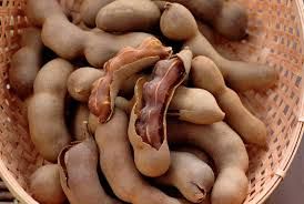 Tamarind Pods