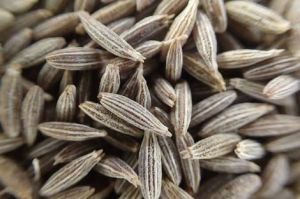 Cumin Seed