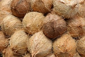 Coconut