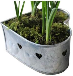 Aluminium Planters