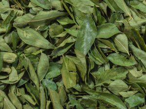 Curry Leaves