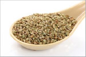 Ajwain