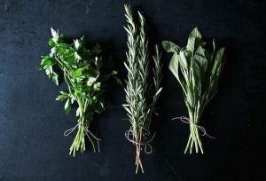 Herb Stems